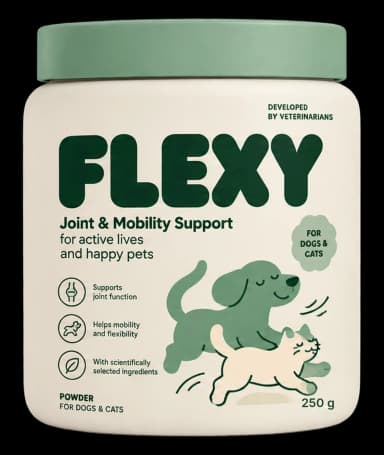 FLEXY