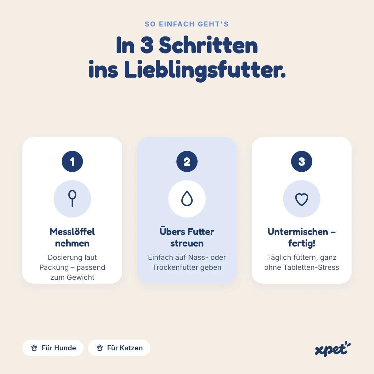 TUMMY – Einblick 2